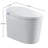 Smart Toilet
