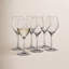 Perfection Red Wine Glass
