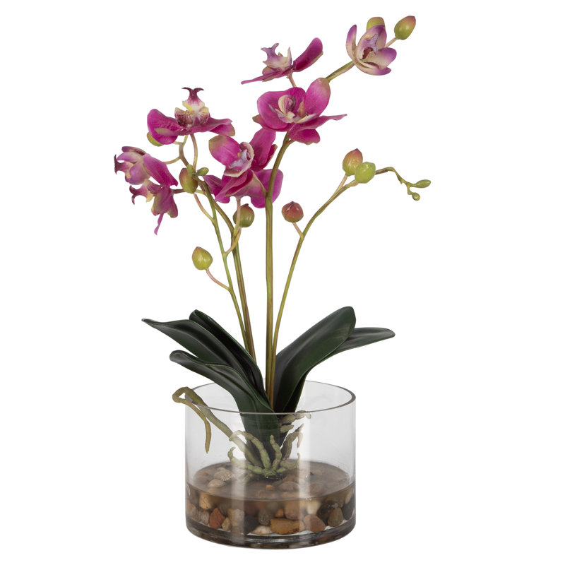 Orchids Arrangement in Vase