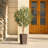 Adcock Artificial Olive Tree with Decorative Pot, UV Resistant Faux Olive Tree with Natural Trunk-1799478849-1799478852