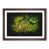 Walnut Framed