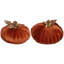 Velvet Pumpkin Decorative Accent-70723911