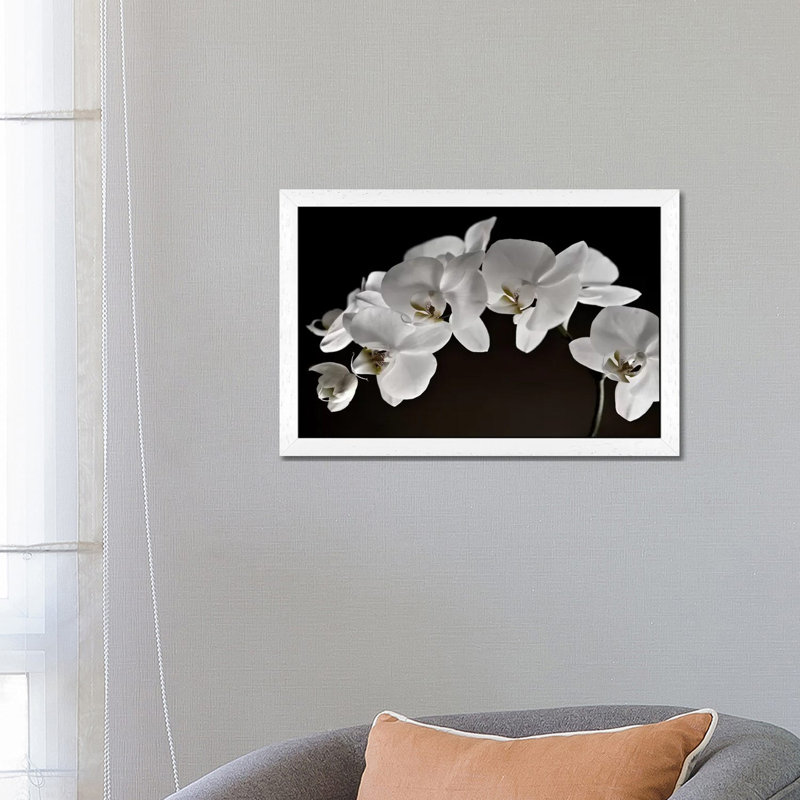 Orchids - Floater Frame Print on Canvas, 66.04 cm H x 45.72 cm W, White