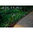 Hardy Island Path Light Other Low Voltage Metal Pathway Light