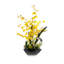 Yellow Oncidium Orchid Flower Arrangement in Zinc Metal Pot