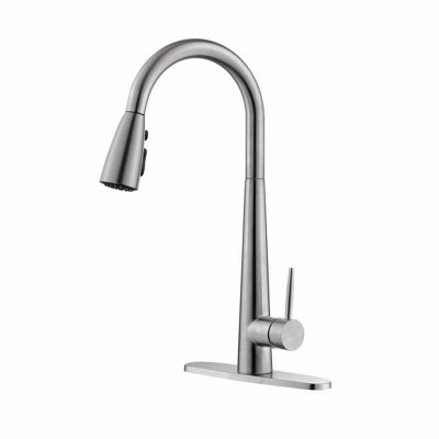 Single Handle Stainless Steel Kitchen Sink Faucet With Pull Down Sprayer