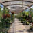 6 ft H x 16 ft W Coffee Reed Fencing Decorative Screen Fence Panel