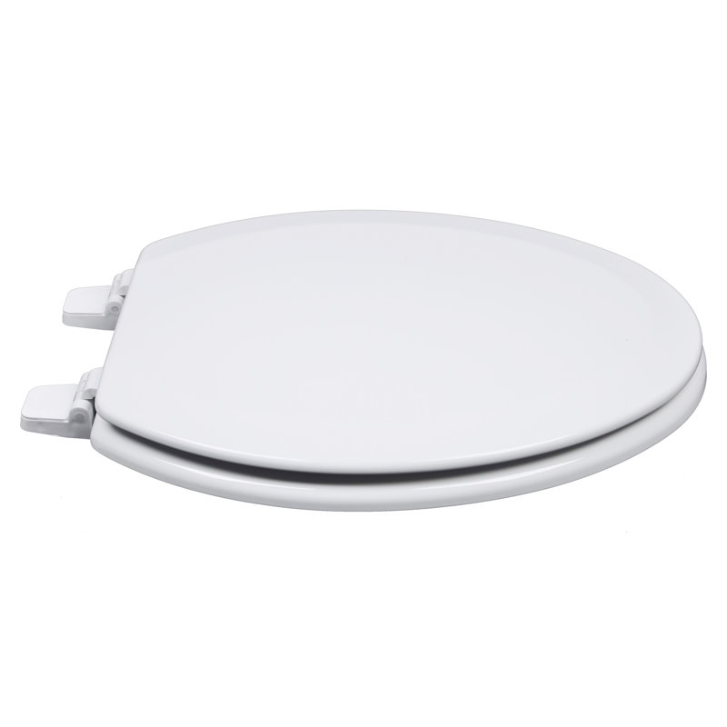 Elongated Toilet Seat and Lid