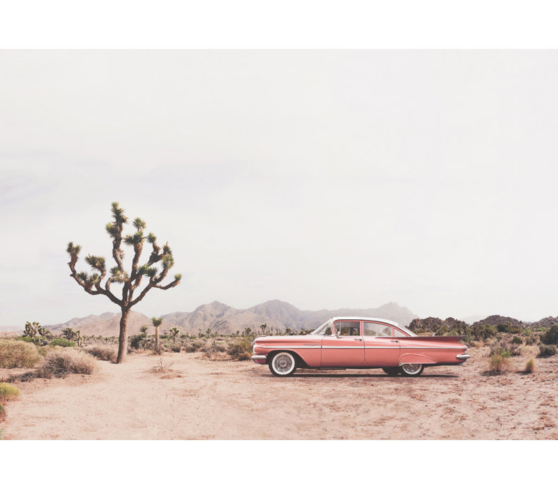 Wrapped Canvas Print, 60.96 cm H x 91.44 cm W