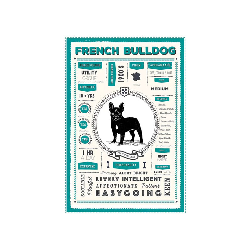 French Bulldog Infographic Blue by PaperPaintPixels - Wrapped Canvas Print, 20.32 cm H x 30.48 cm W