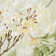 Summer Hydrangea Fabric