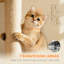 170cm H Cat Tree
