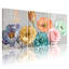 Plantes et fleurs, ensemble de 3 impressions sur toile-714711183