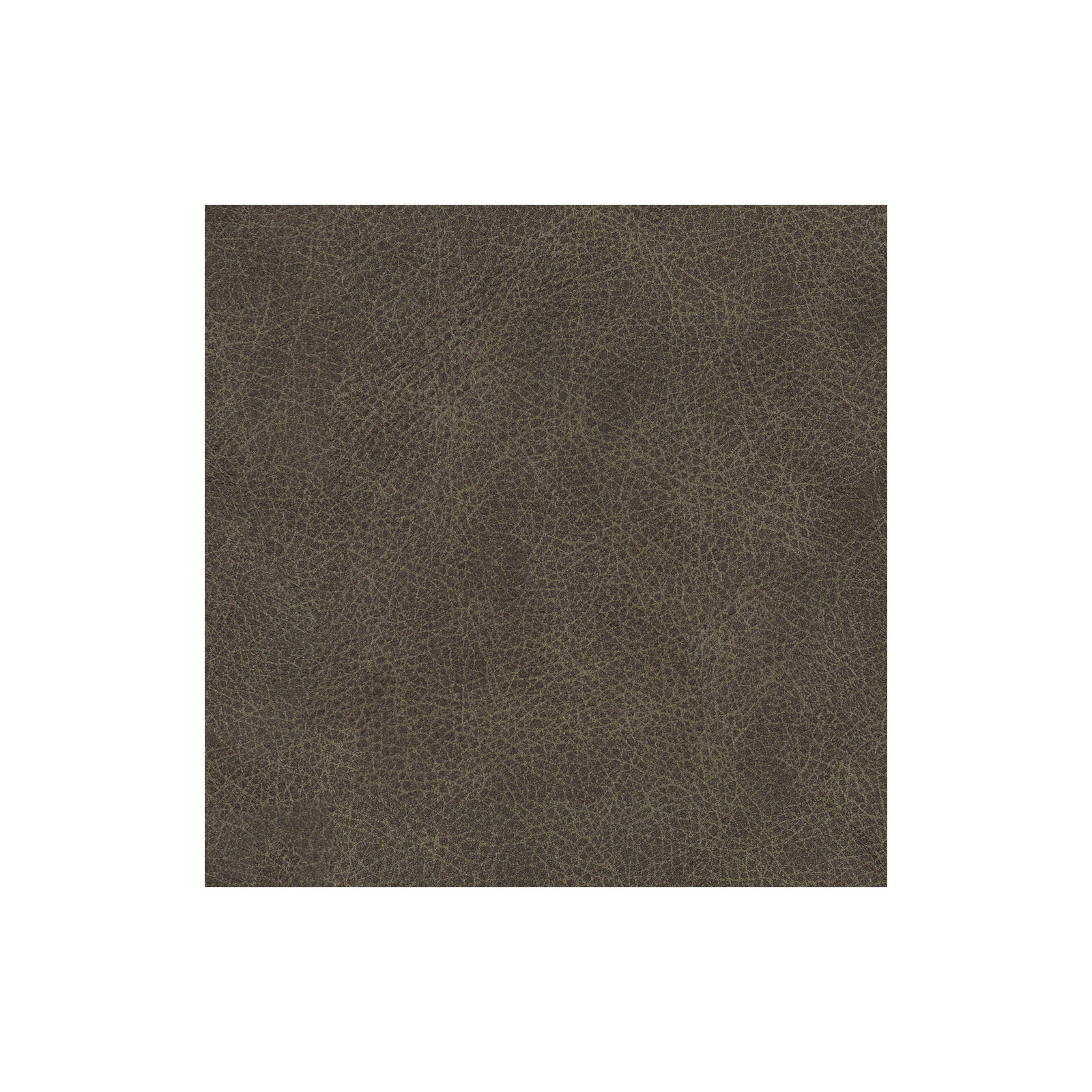 Fletcher Genuine Leather Down Cushion Armchair, Graystone Top Grain Leather