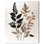 Reproduction d'art sur toile, "Fossilised Flora II" par Art Remedy