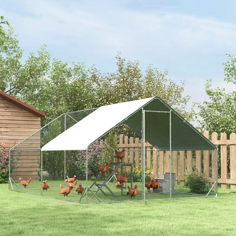 12m² Chicken Run For Up To 12 Chickens