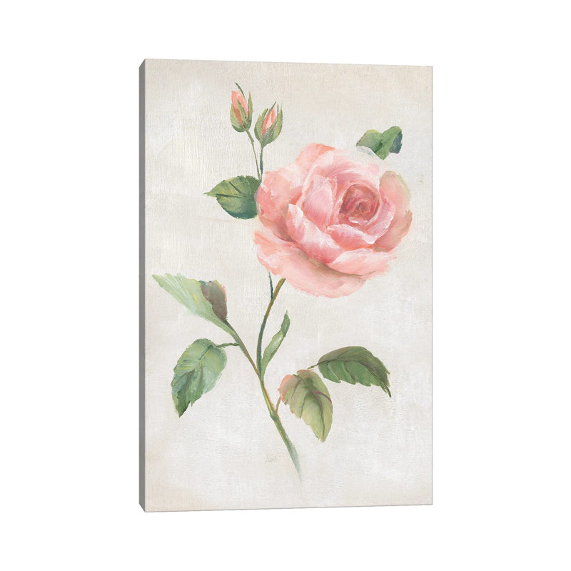 Grandiflora I By Nan - Wrapped Canvas Graphic Art by Nan - Wrapped Canvas Gallery-Wrapped Canvas Giclée
