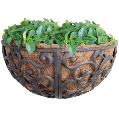 Roldao Wall Planter
