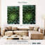 Plante grasse Harnek-108226311
