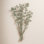 13 " Foliage Branch