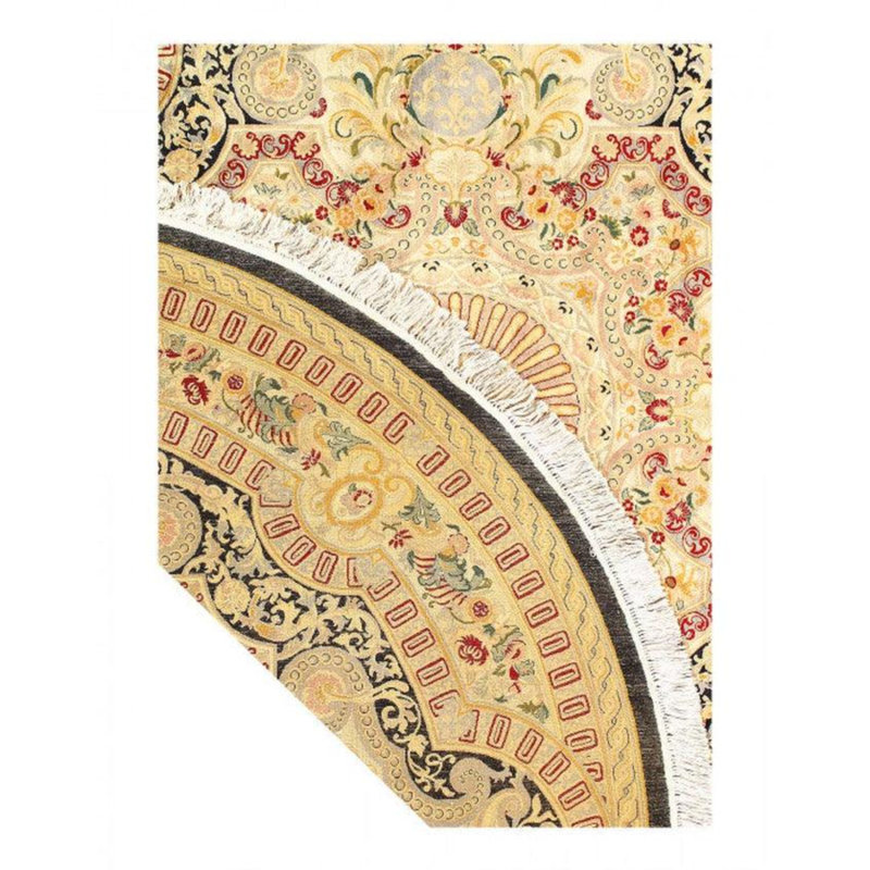 Kassadie Oriental Area Rug