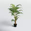 Feuilles de palmier artificiel en pot-2088219704