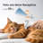 Oneisall LM2 Dog Hair Vacuum & Dog Grooming Kit, 7 in 1 Pet Grooming Vacuum with Pet Clipper,Paw Trimmer,Nail Grinder, Hair Deshedding Brush, Hair Cleaning Tool, 1.5L Dust Cup for Shedding Pet Hair, Home Cleaning