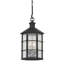Lake County Lantern by Mark D. Sikes