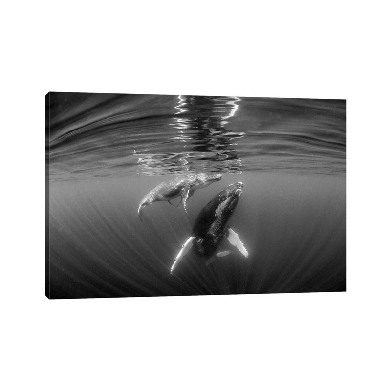 Mother & Calf by Jordan Robins - Gallery-Wrapped Canvas Giclée on Canvas, Canvas, 66.04 cm H x 45.72 cm W x 1.91 cm D
