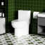 Toilette économiseur d'eau, 1,28, blanc brillant 003, siège confortable, économie à fermeture en douceur, enchanteur