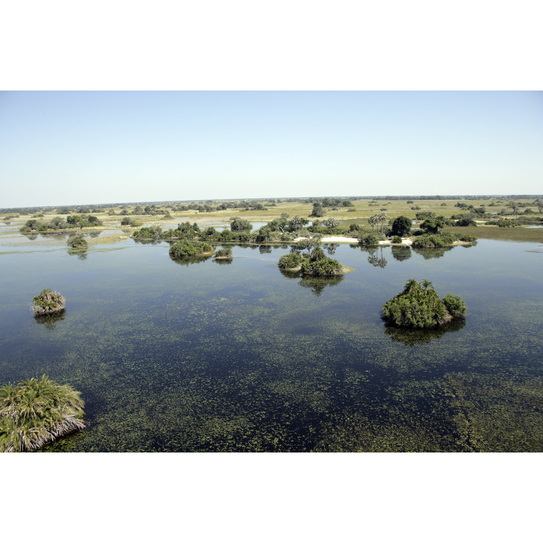 Okavango aus der Luft