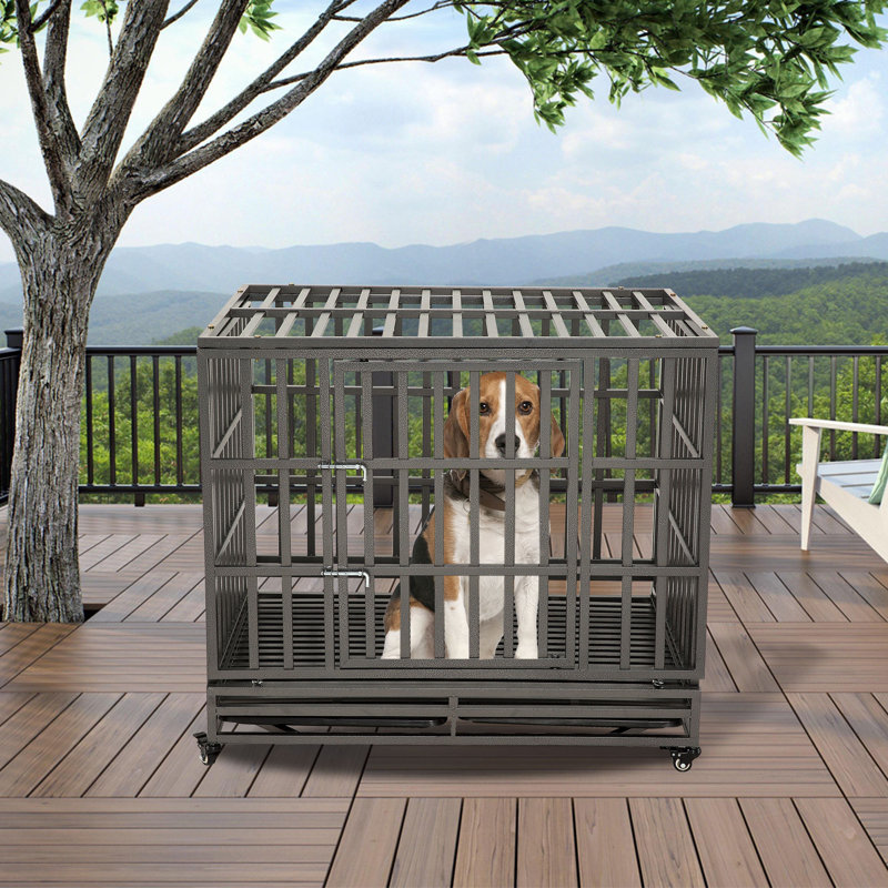 Caisse pour animaux, H 31,5 po x l 37,5 po x P 25,5 po