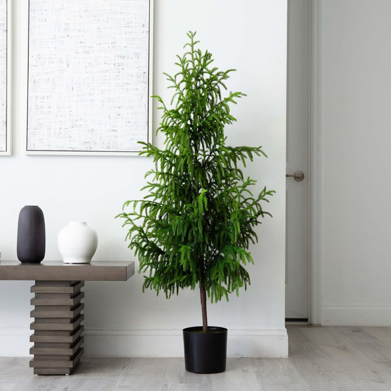  5ft. Artificial Norfolk Pine Tree