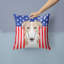 Coussin 14 "American Flag-1560604464-1560286206