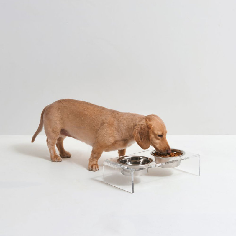Small Clear Elevated Feeder with Silver Bowls, 1.5 cups