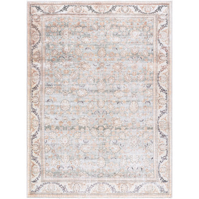 Isaic Washable Oriental Indoor Rug