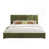 Olive Green Velvet selected