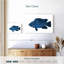 Poisson marin Brampt-106045954