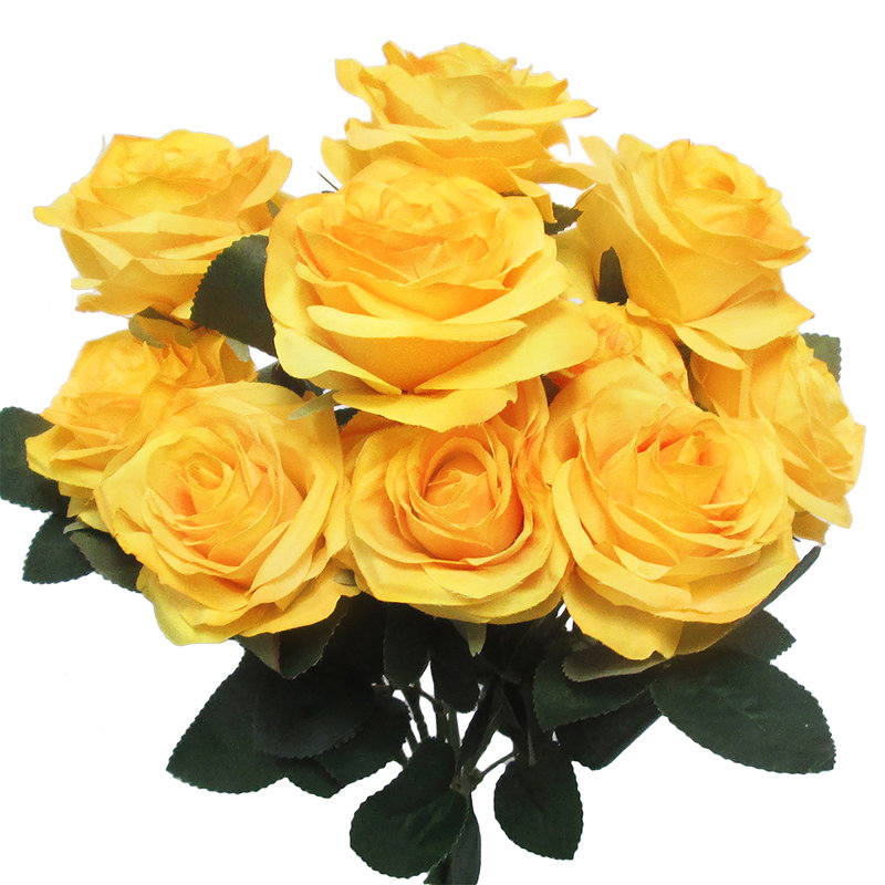 Grand rosier Jaafer Deluxe, Jaune
