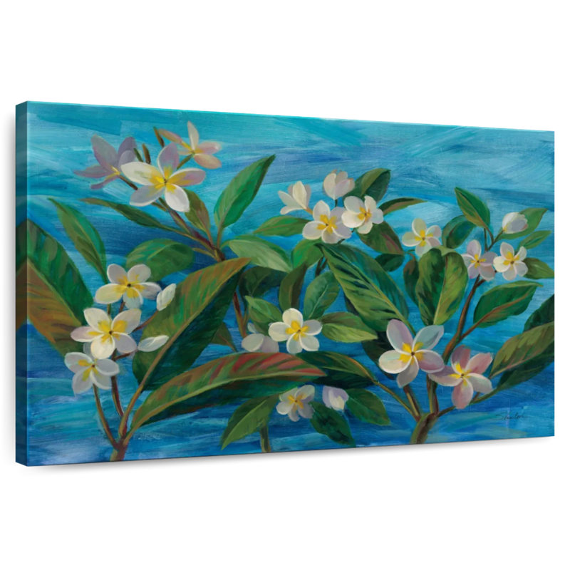 Harumer Plumeria Oceanside, H 24 po x l 36 po