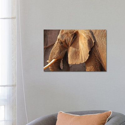 African Elephant by Brian Wolf - Wrapped Canvas Gallery-Wrapped Canvas Giclée