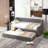 Red Barrel Studio® Twin Size Daybed W/ Trundle Wingback Armrests & Button Tufted Backrest