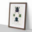 Beetle Illustrations PL.5 by Charles d Orbigny - Framed Print-55466085-55466086