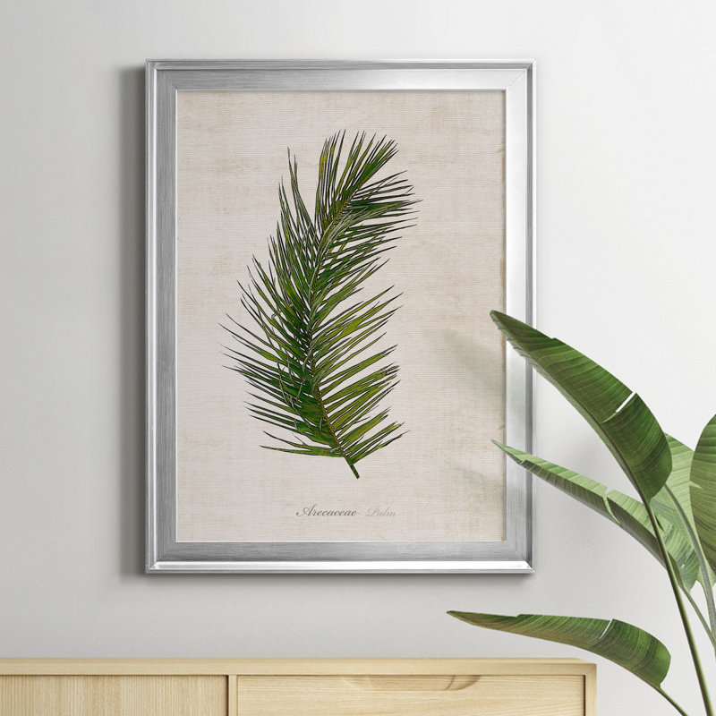 Palm Botanical II - Peinture sur toile encadrée, Argent, H 22,5 po x l 30,5 po x P 1,5 po