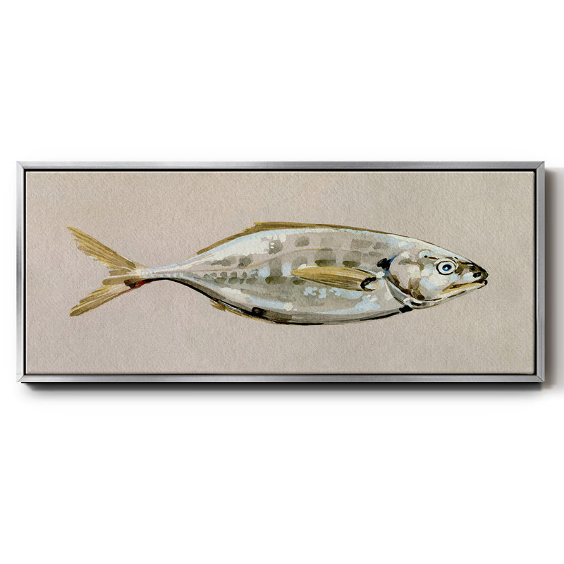 Fresh Fish Study I- Framed Canvas, 20" H x 50" W