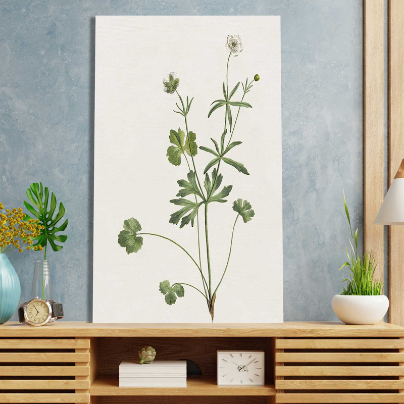 " Wispy Botanical II " Painting Print, 42" W x 72" H, Wrapped Canvas