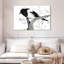 Oiseau noir et blanc Brampt-108694621