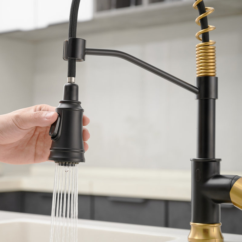 FLG Pull Down Touchless Kitchen Faucet