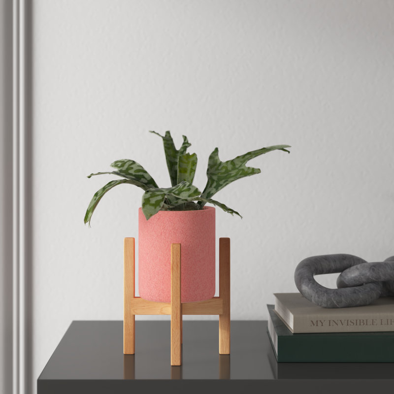 Alucard Wood Pot Planter, Pastel Pink/Natural, 5" H x 4.7" W x 4.7" D