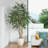 8ft Artificial Ficus Tree with 18in White Planter, Tall Faux Ficus Tree for Indoor, Home Decor